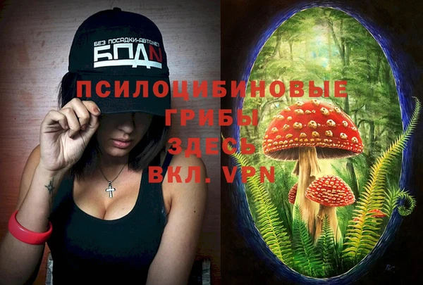 spice Мегион