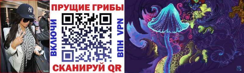 купить наркотик  Дубовка  Псилоцибиновые грибы Psilocybe 